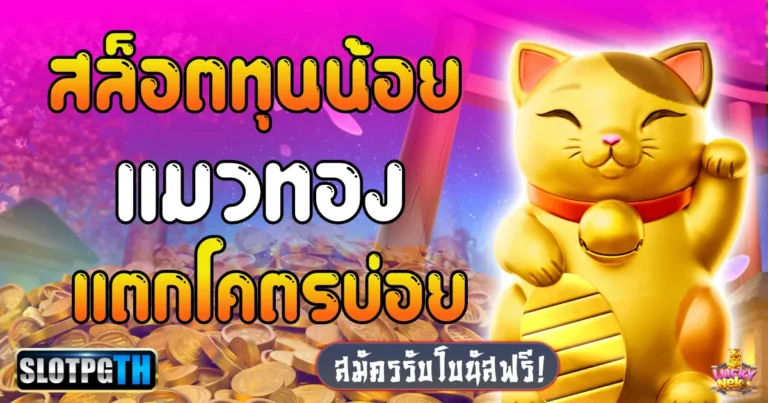 lucky neko